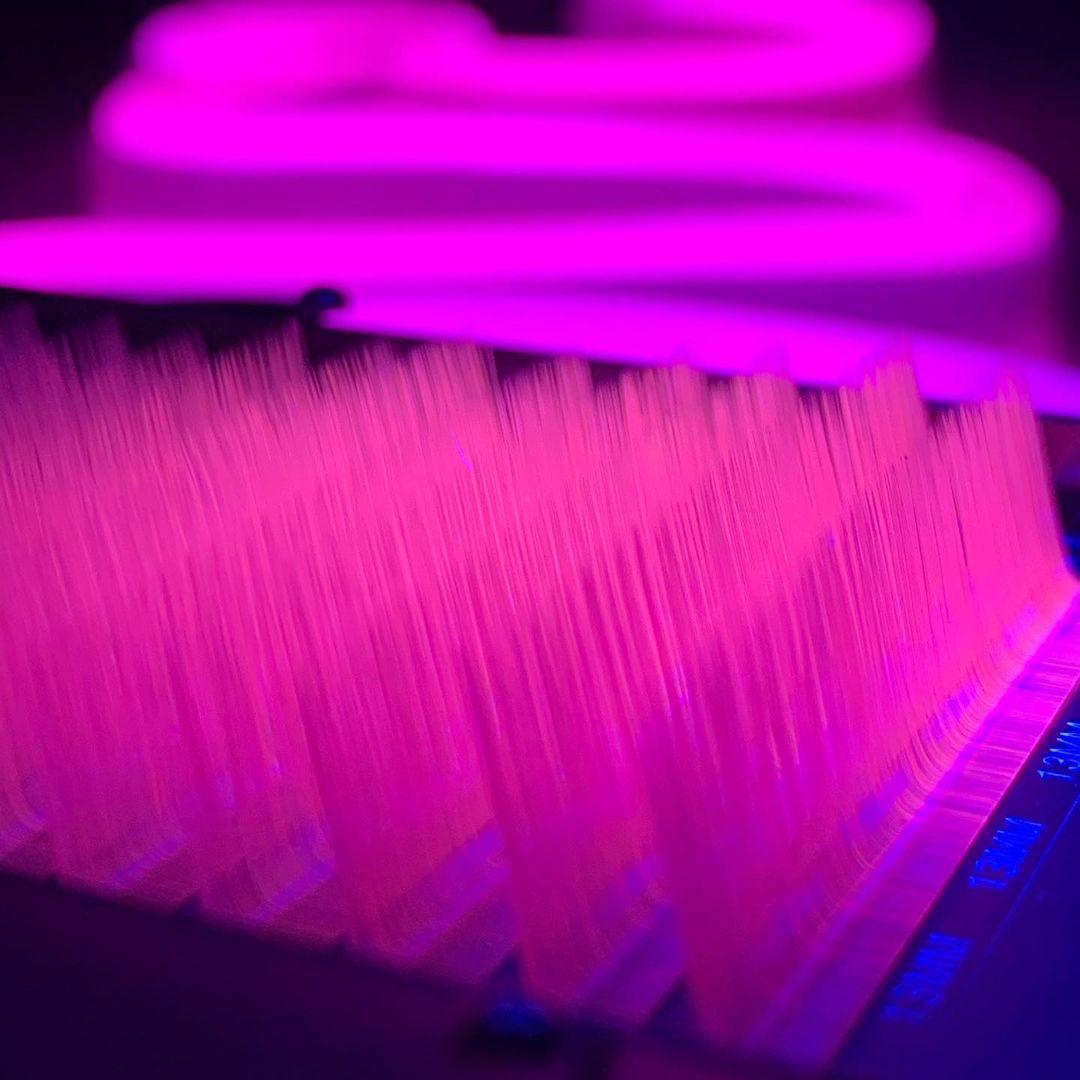 Sugar Lash Silk neon color collection mix pink (Rosado)